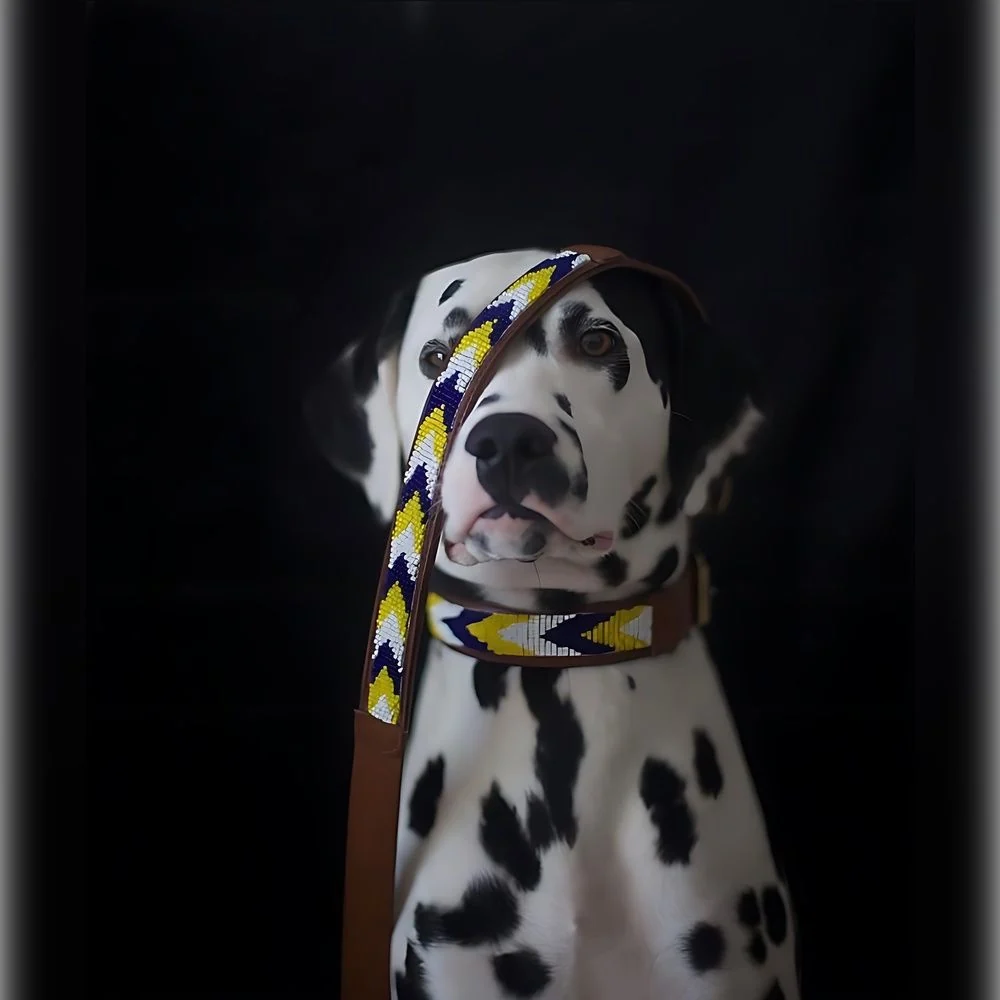 Collar para perros Safari - Imagen 3