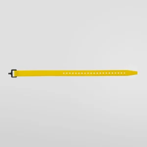 Ski Strap