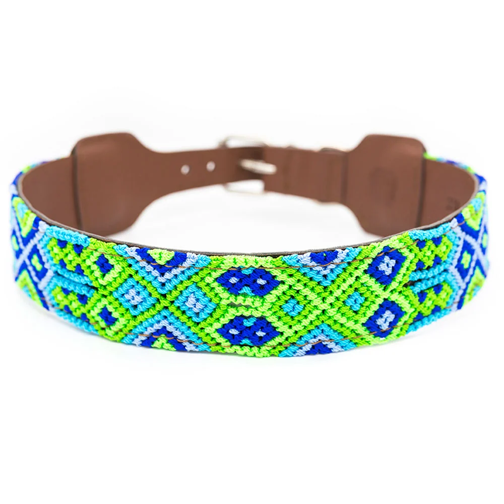 Collar para perros Cuate