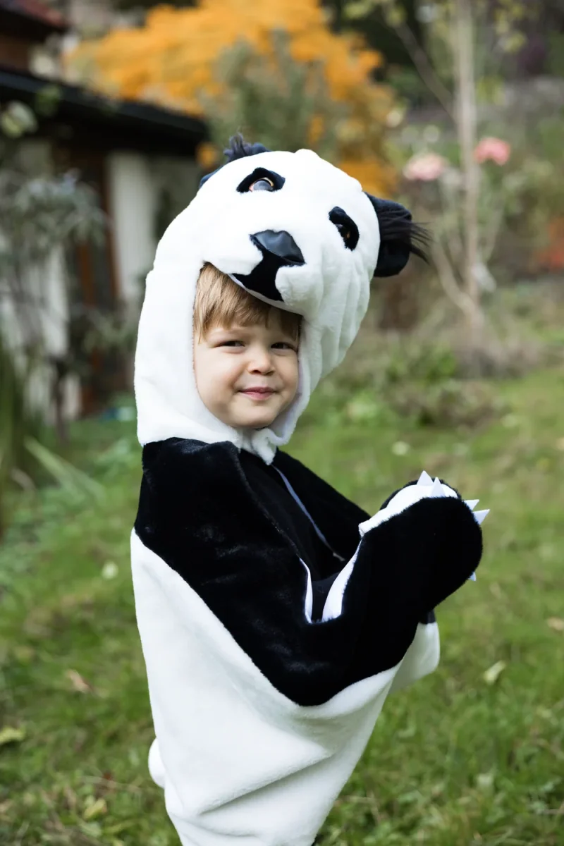 Capa Panda- GREAT PRETENDERS - Imagen 3