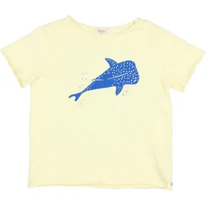 Camiseta manga corta OCEAN- BÚHO