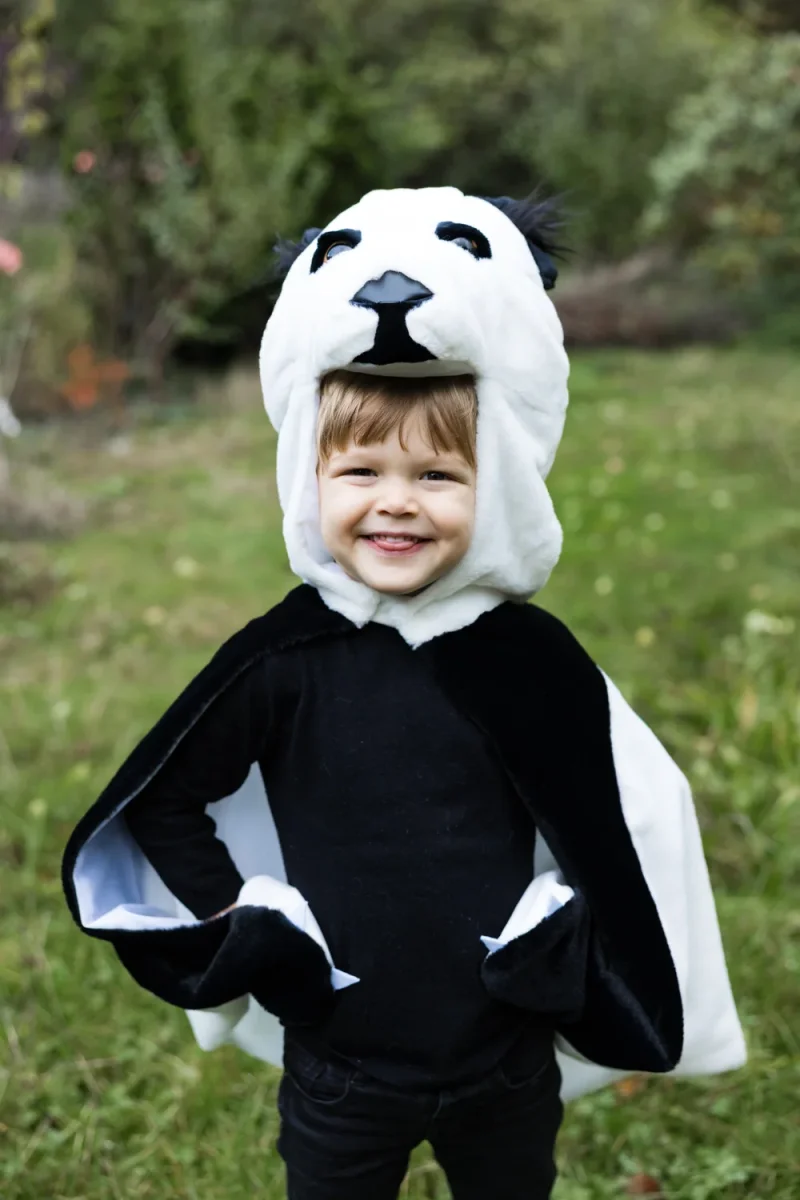 Capa Panda- GREAT PRETENDERS - Imagen 4