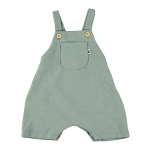 Peto verde - PETIT INDI