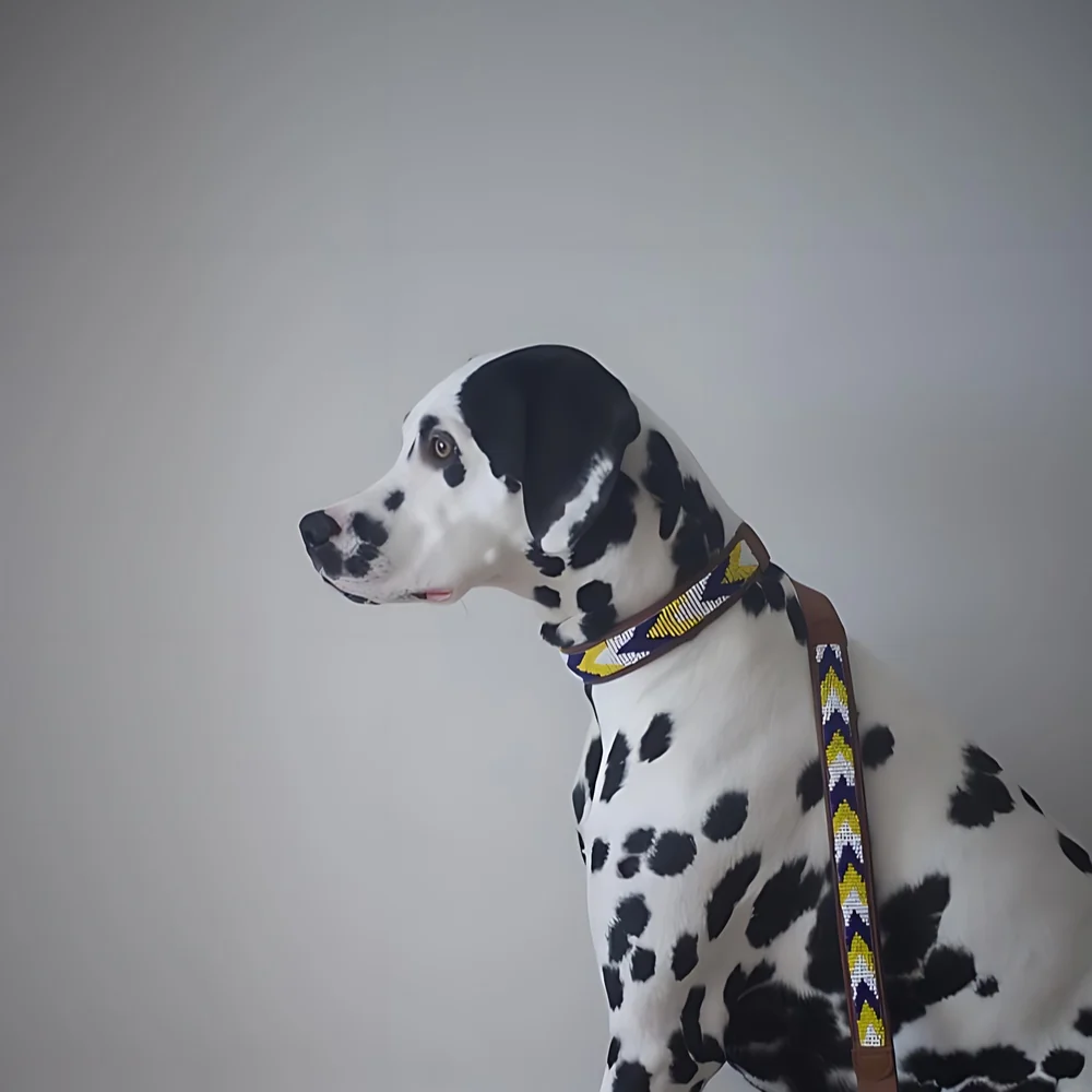 Collar para perros Safari - Imagen 4