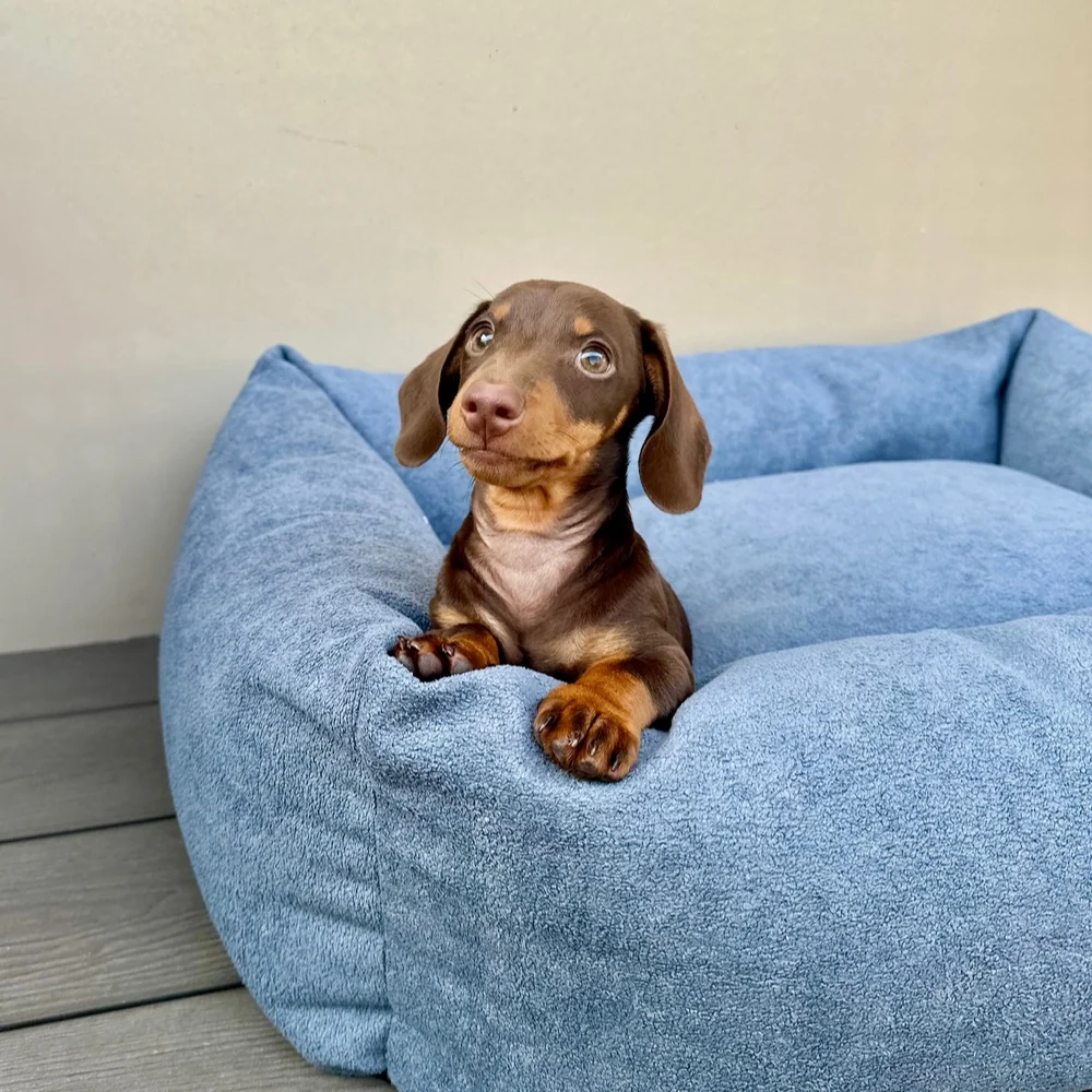 Cama para perros de borrego Nube - Imagen 4