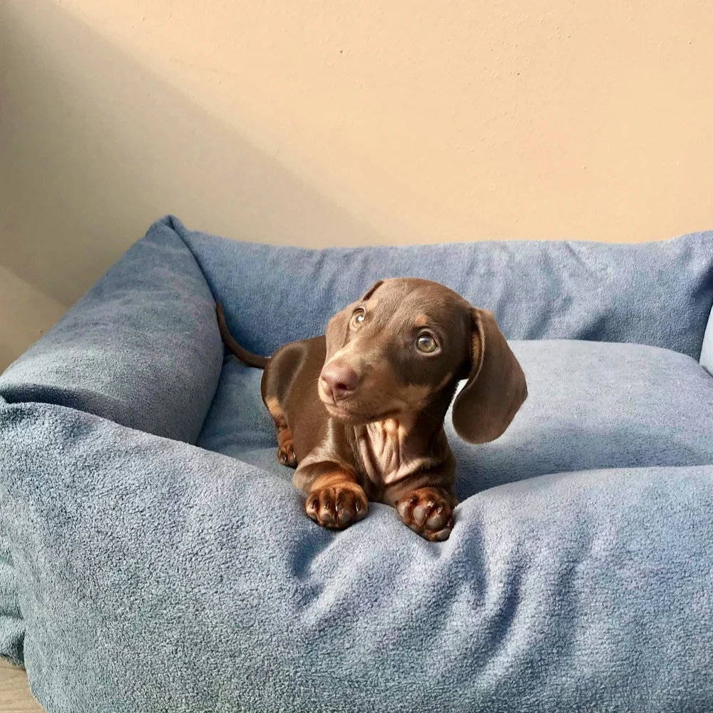 Cama para perros de borrego Nube - Imagen 5