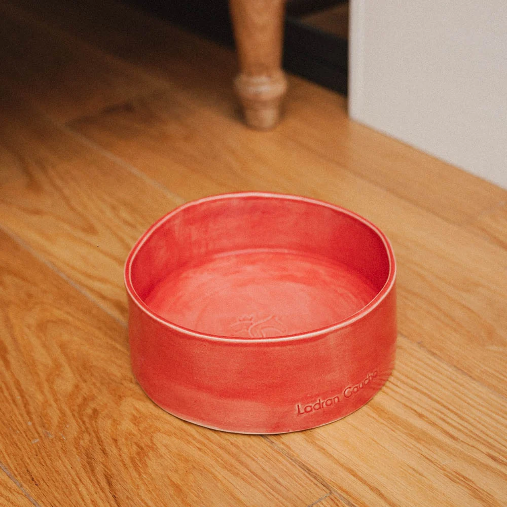 Bowl para perros Rojo - Ladran Gaucho - Imagen 4