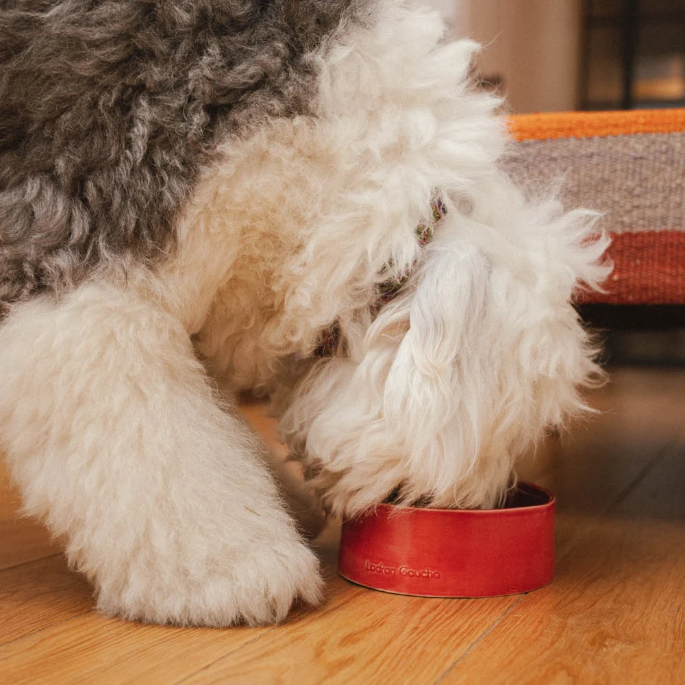Bowl para perros Rojo - Ladran Gaucho - Imagen 5