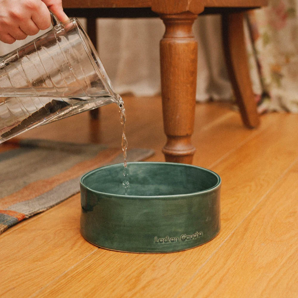 Bowl para perros Verde - Imagen 4