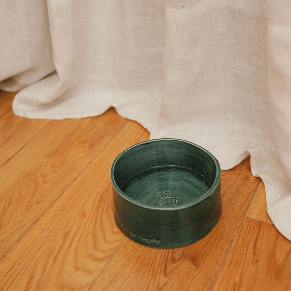 Bowl para perros Verde - Imagen 5