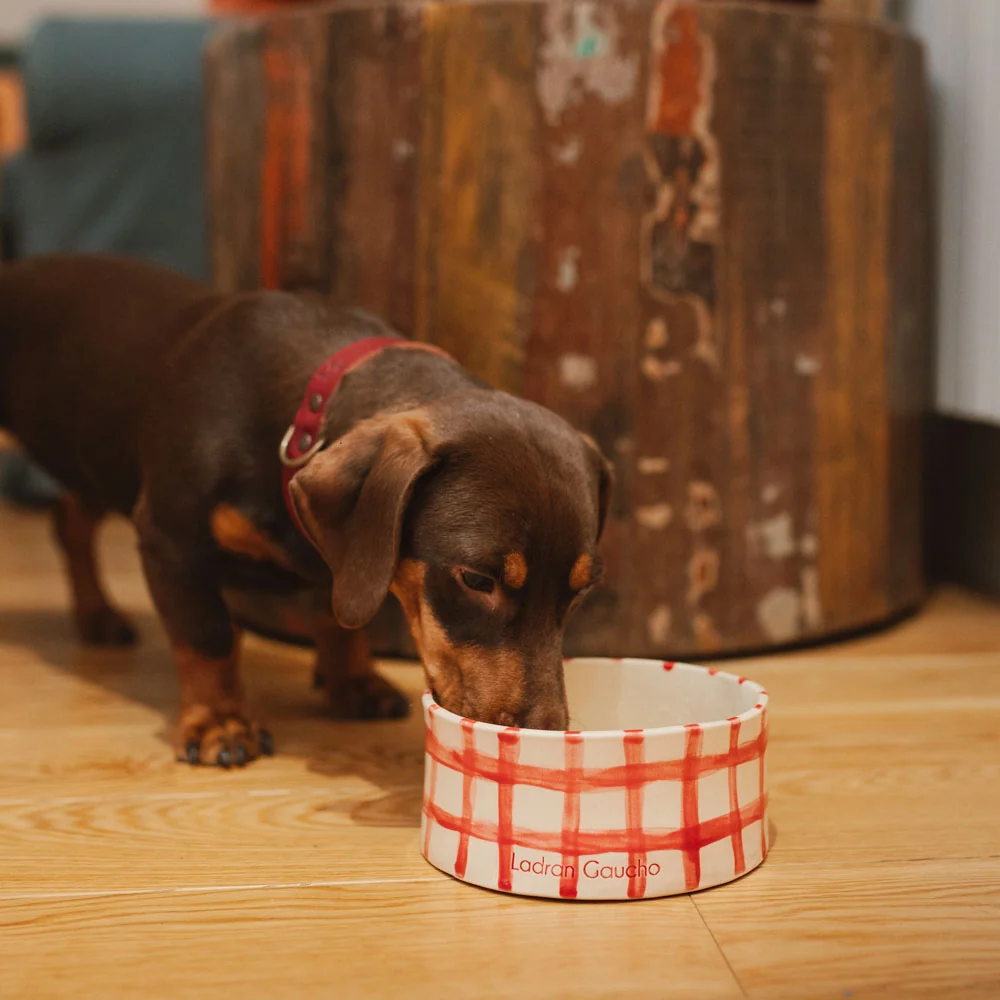 Bowl para perros Vichy Rojo - Ladran Gaucho - Imagen 5