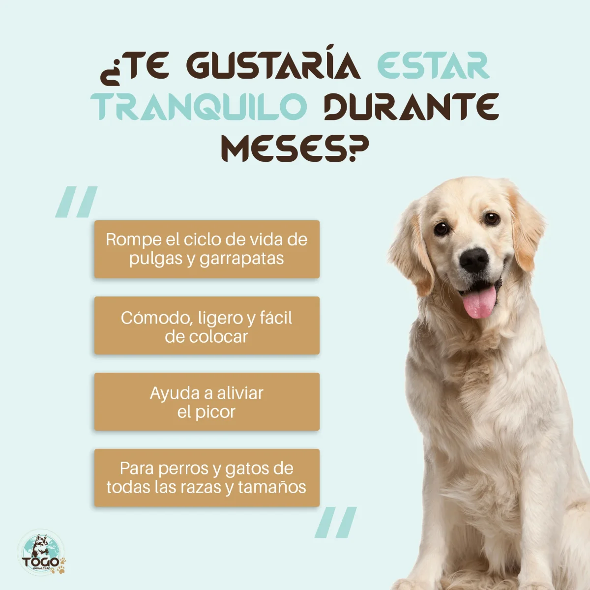 Collar para perros antiparasitario - Imagen 4