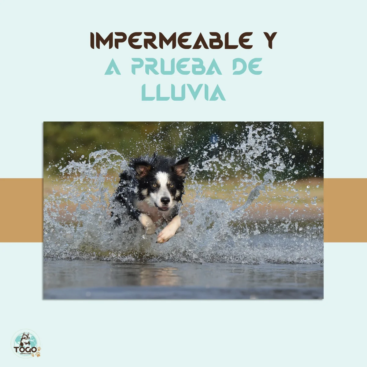 Collar para perros antiparasitario - Imagen 7