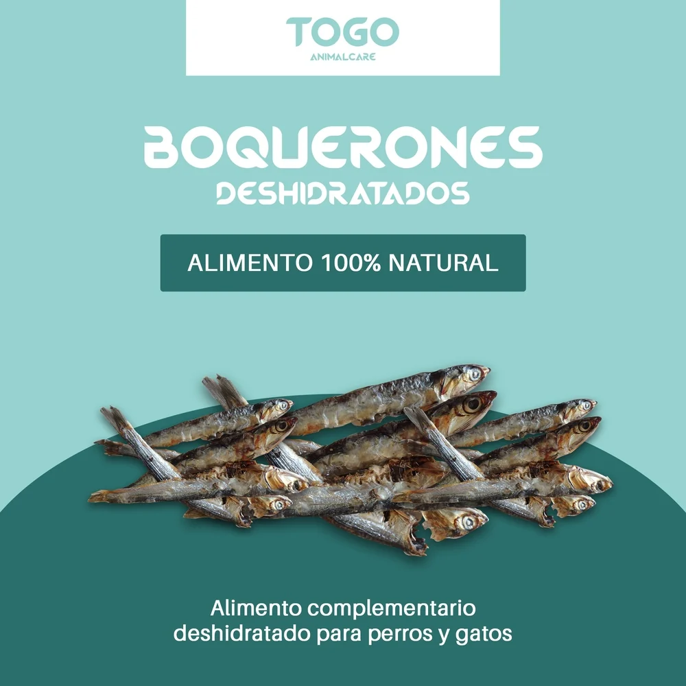 Snacks de boquerones naturales para perros - Imagen 3