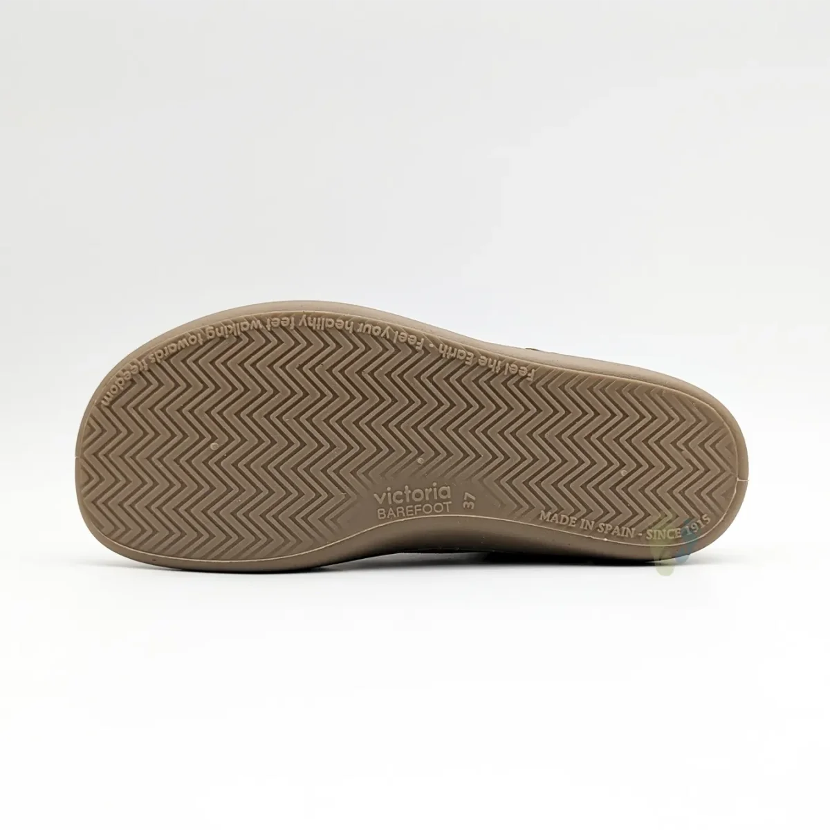 Victoria Barefoot Olmo Terra - Imagen 8