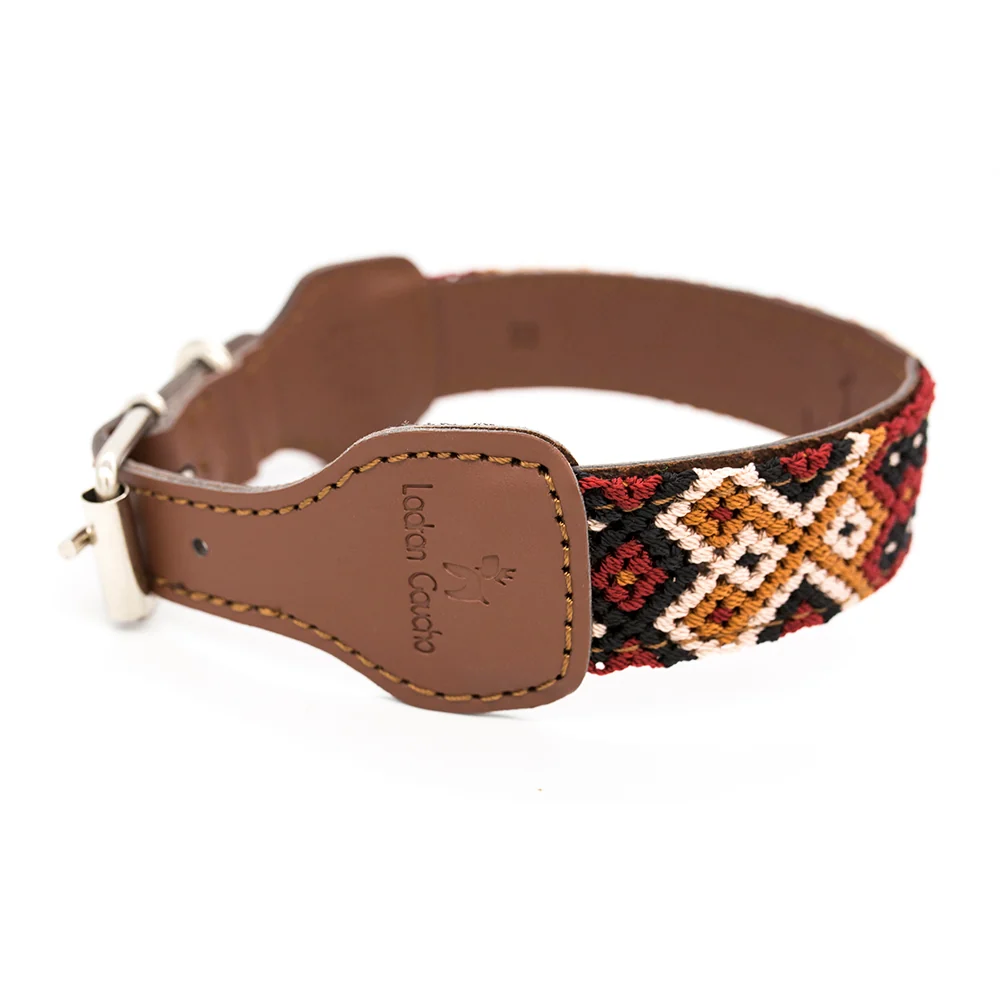 Collar para perros Chavo - Imagen 4