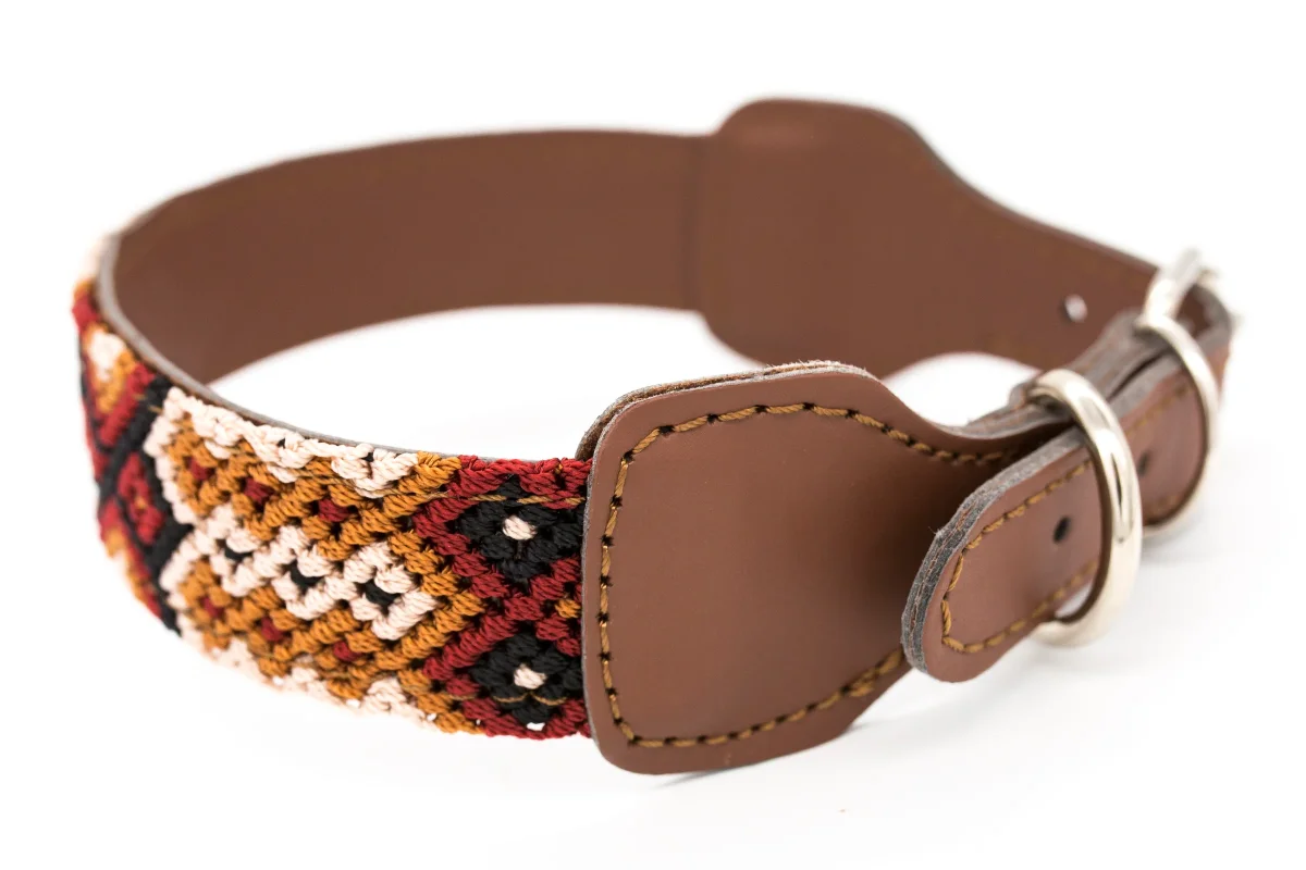 Collar para perros Chavo - Imagen 6