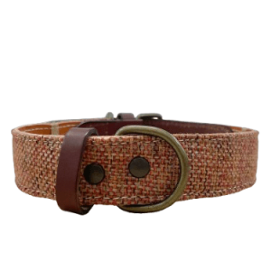 Collar para perros Naranja