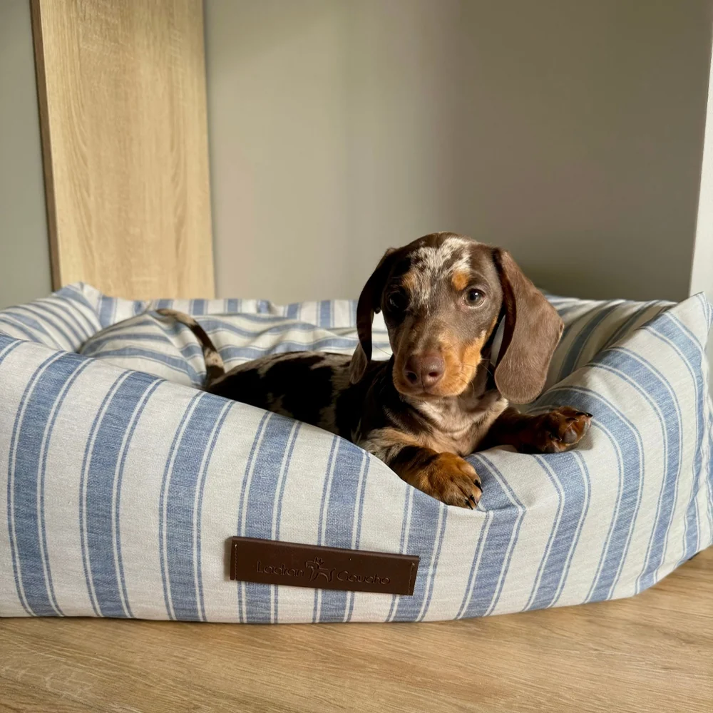 Cama para perros Impermeable Creta - Imagen 5