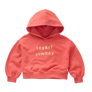 Sudadera crop con logo- SPROET & SPROUT