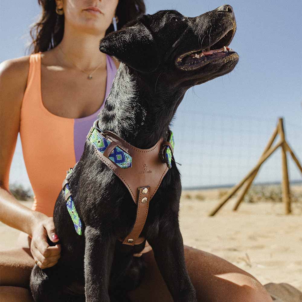 Arnés para perros Cuate - Imagen 7