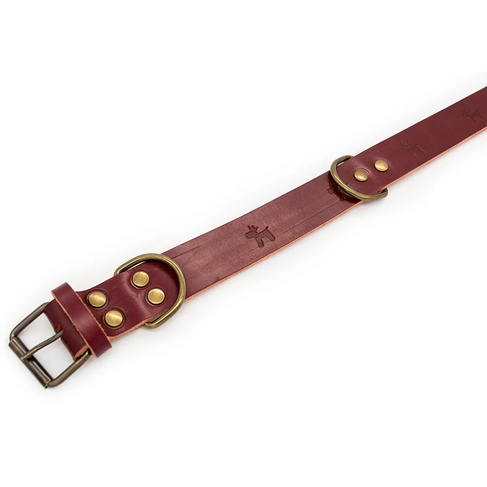 Collar para perros Cuero Premium Cereza - Imagen 4