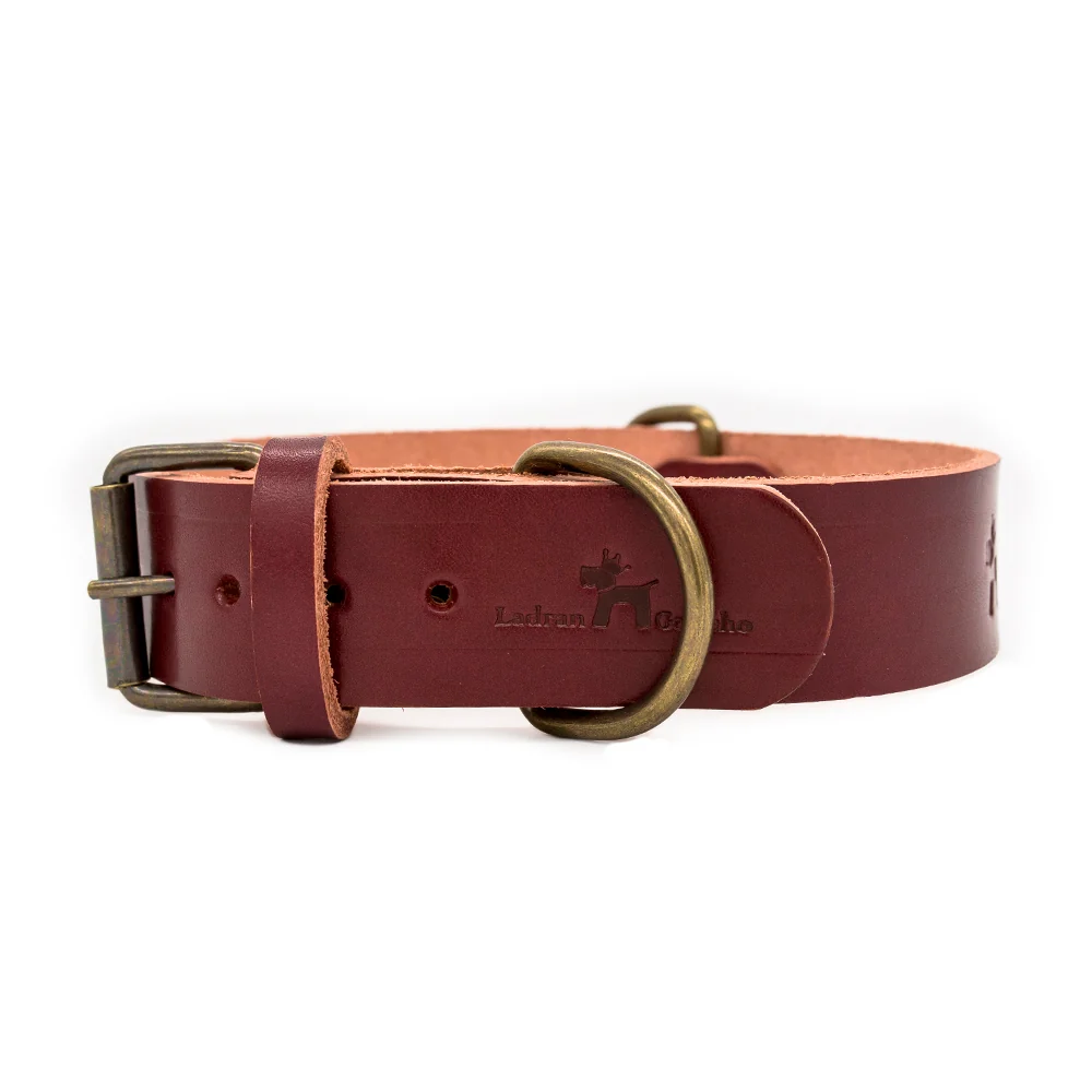 Collar para perros Cuero Premium Cereza - Imagen 5