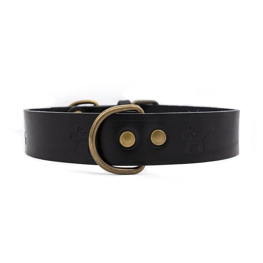 Collar para perros Cuero Premium Negro