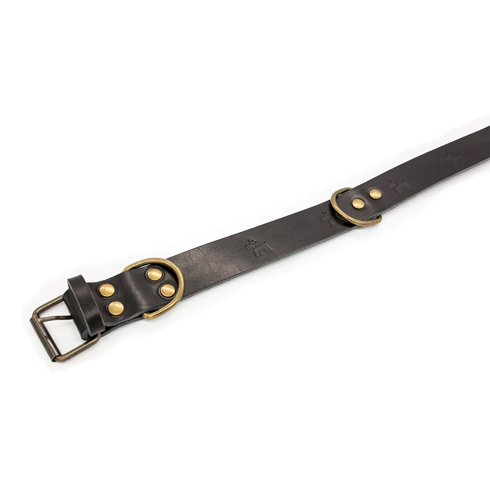 Collar para perros Cuero Premium Negro - Imagen 4