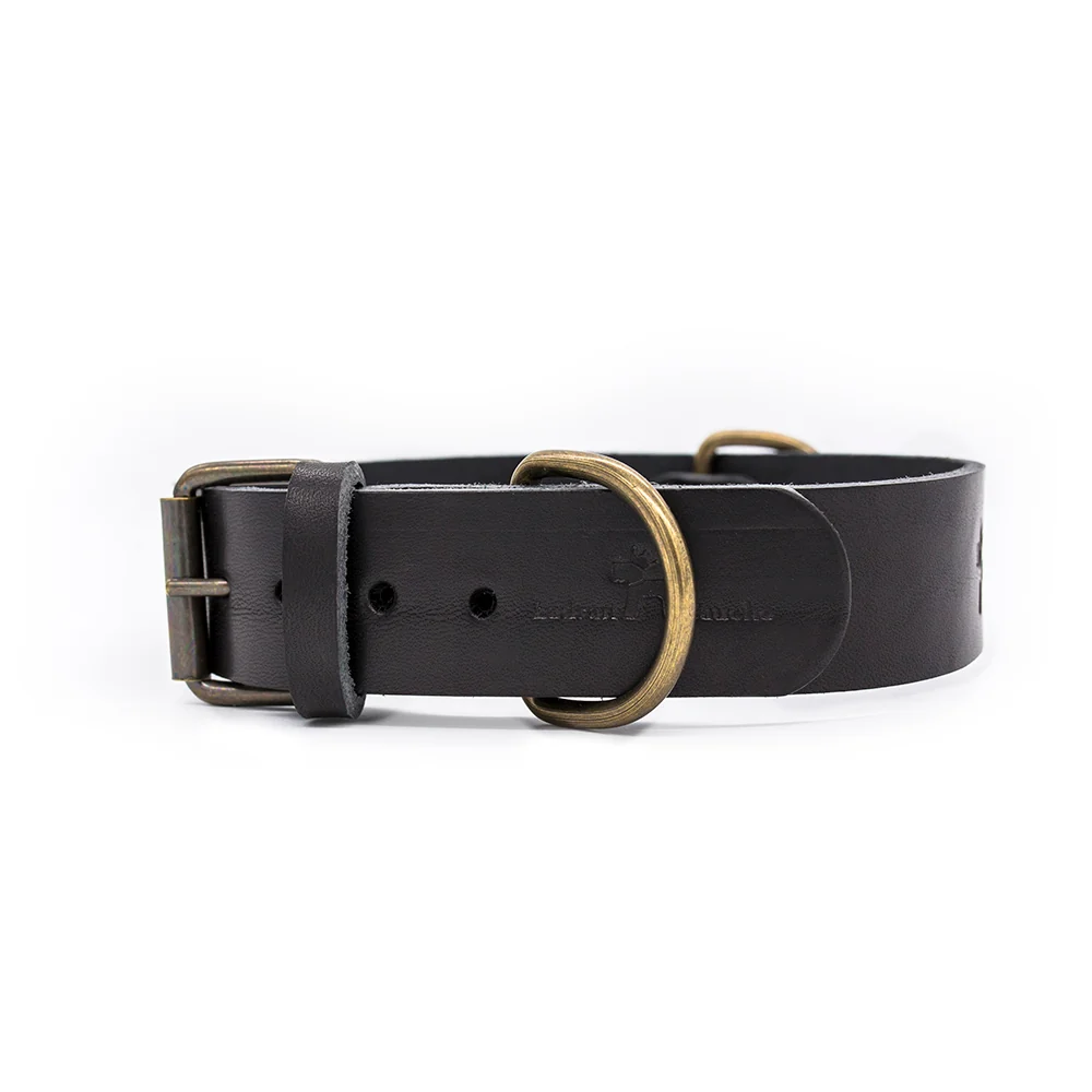 Collar para perros Cuero Premium Negro - Imagen 5