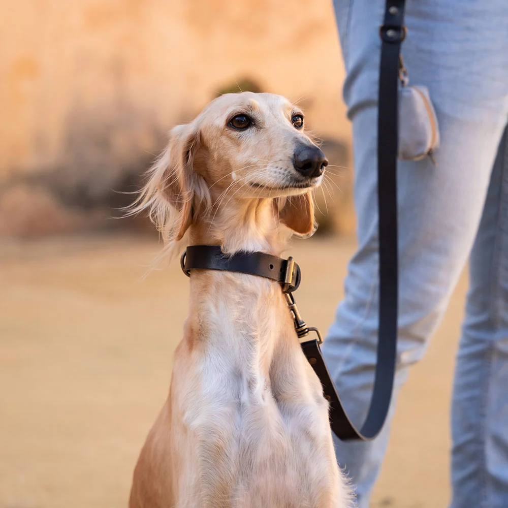 Correa para perros Cuero Premium Negro - Imagen 3