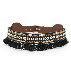Collar para perros Dante