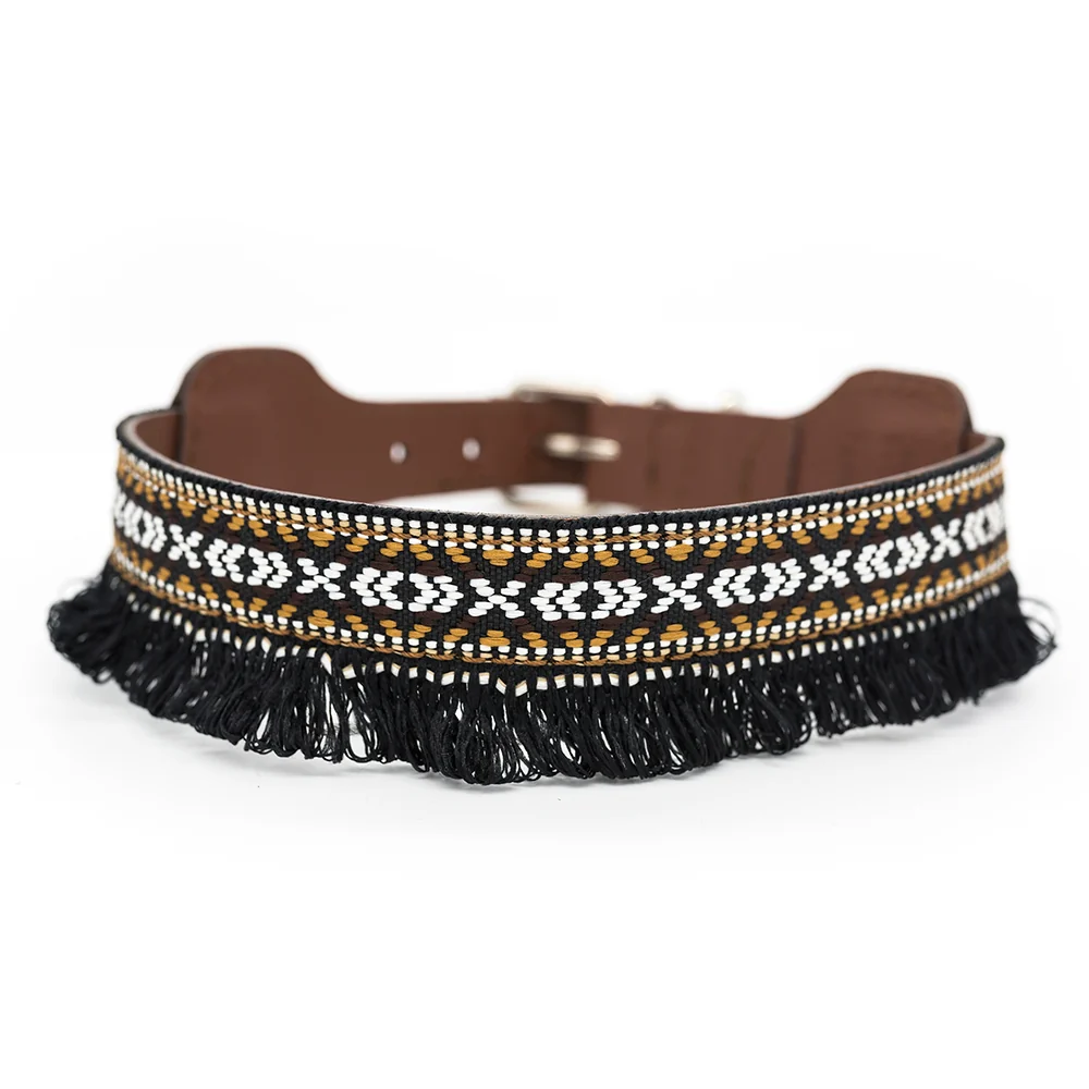 Collar para perros Dante