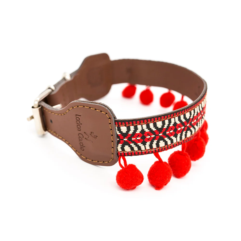 Collar para perros Frida - Imagen 4