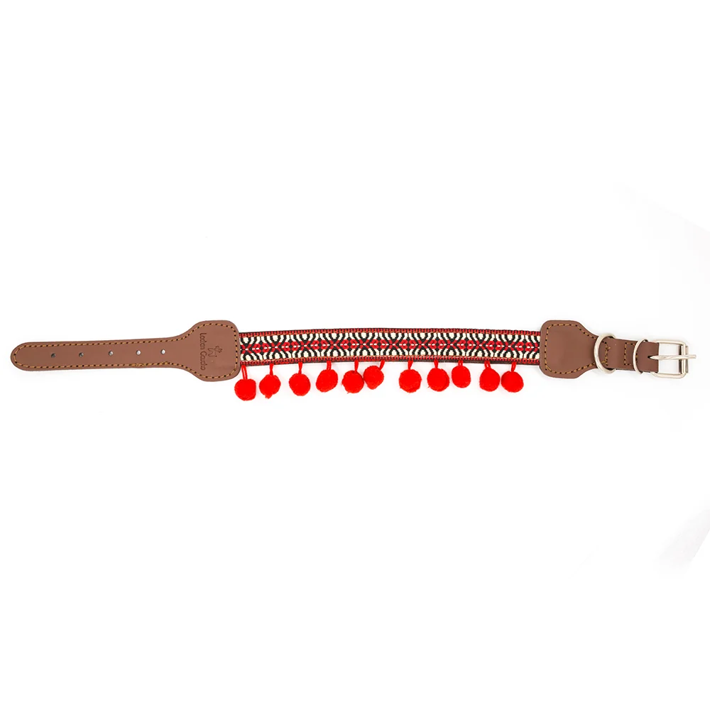 Collar para perros Frida - Imagen 5