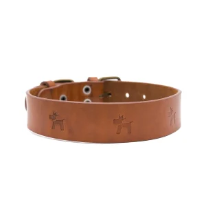 Collar para perros Cuero Premium Clasic