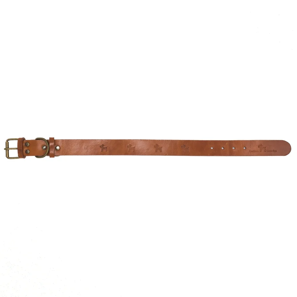 Collar para perros Cuero Premium Clasic - Imagen 5
