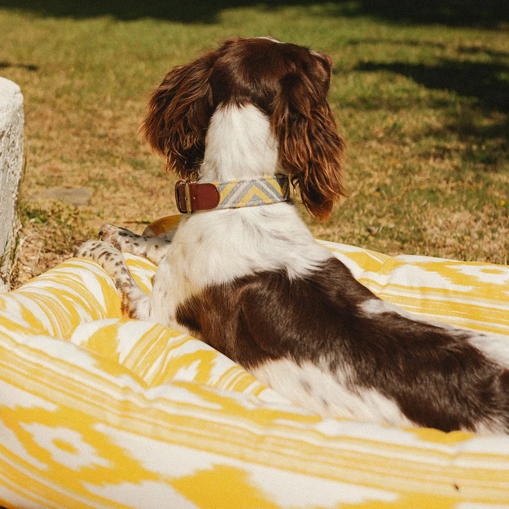 Cama para perros Impermeable Ibiza - Imagen 5