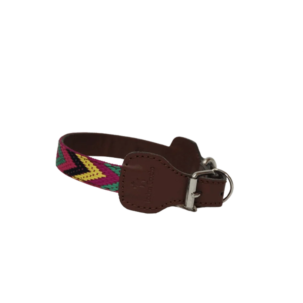 Collar Ikal para perros (Outlet) - Imagen 3