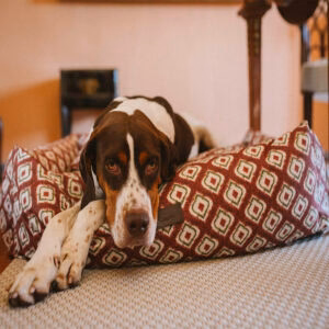 Cama para perros Impermeable Ikat Burdeos - Imagen 3