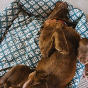 Cama para perros impermeable Ikat Verde - Imagen 4