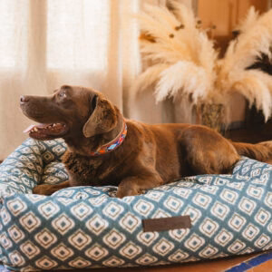 Cama para perros impermeable Ikat Verde - Imagen 5