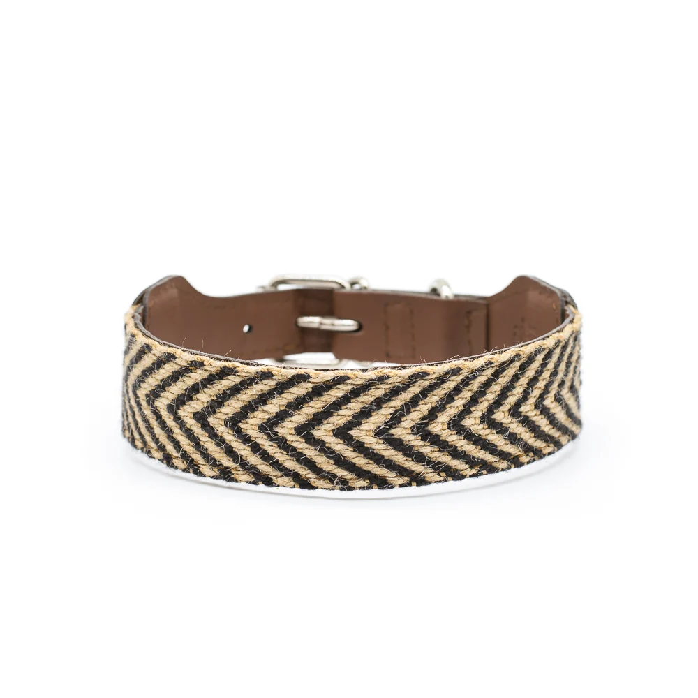 Collar para perros Jocho