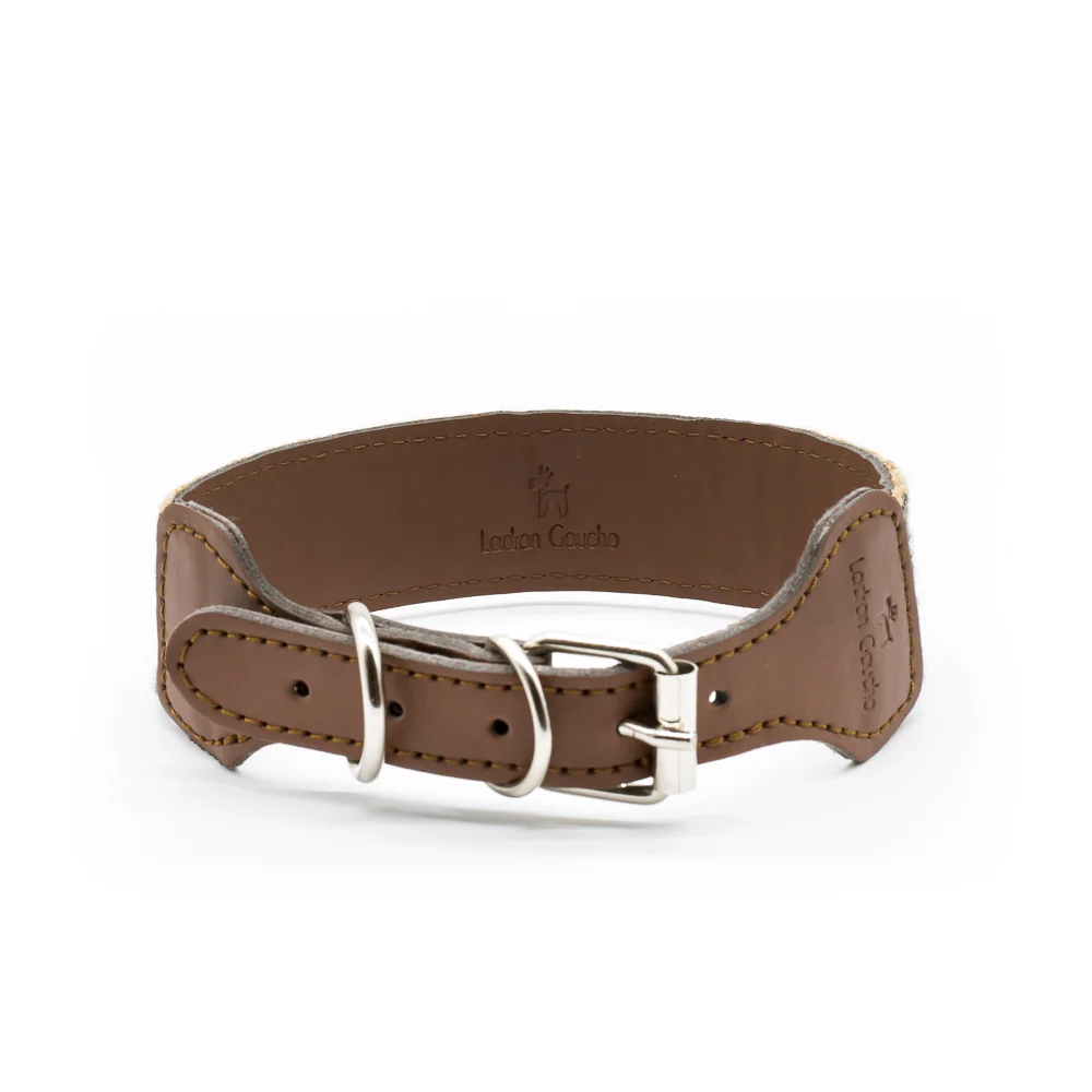 Collar para perros Jocho - Imagen 4