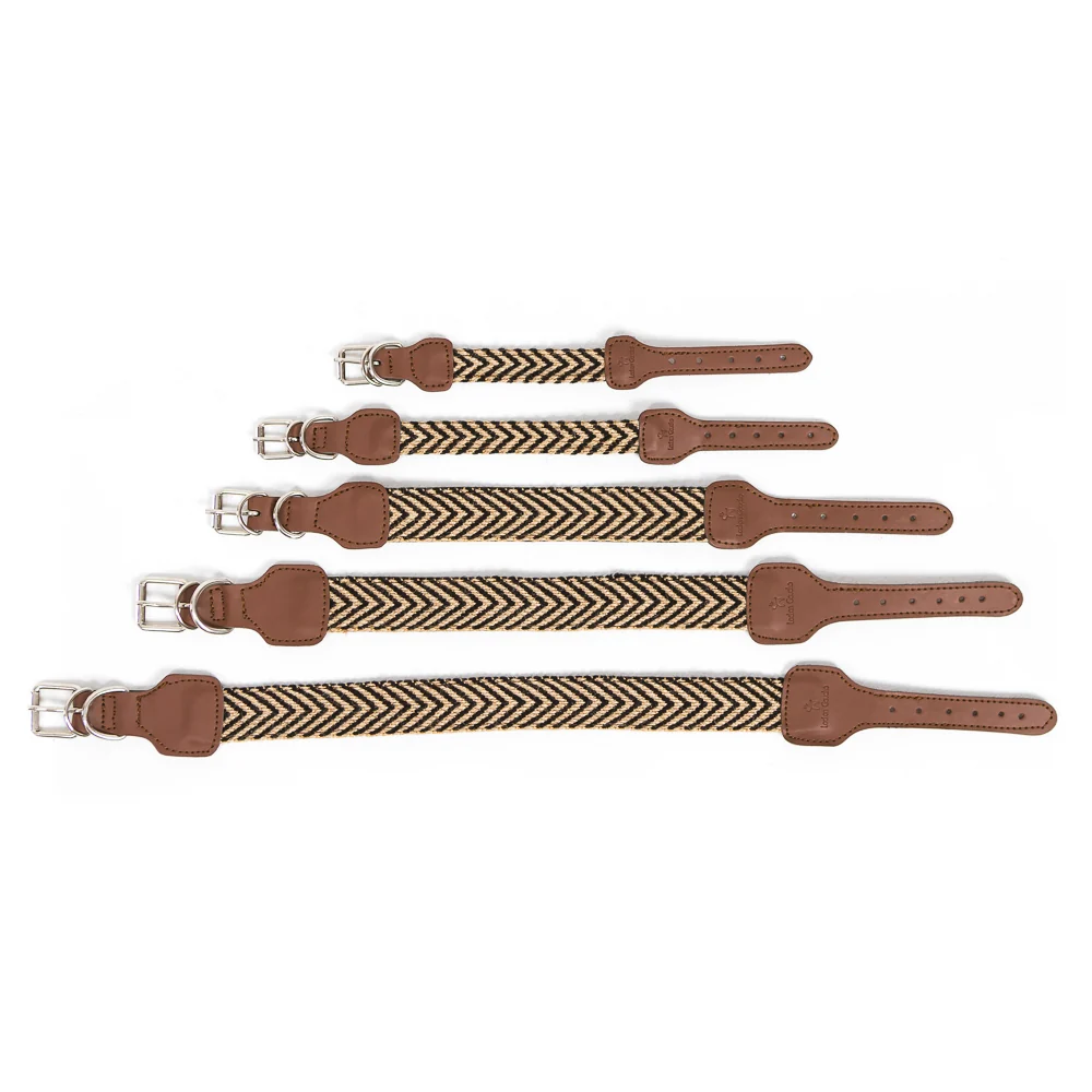 Collar para perros Jocho - Imagen 5