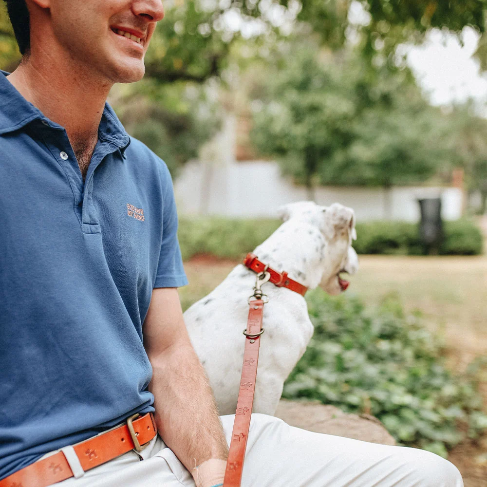 Collar para perros Cuero Premium Clasic - Imagen 3