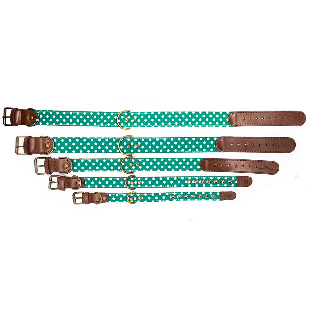 Collar para perros Lola - Imagen 5