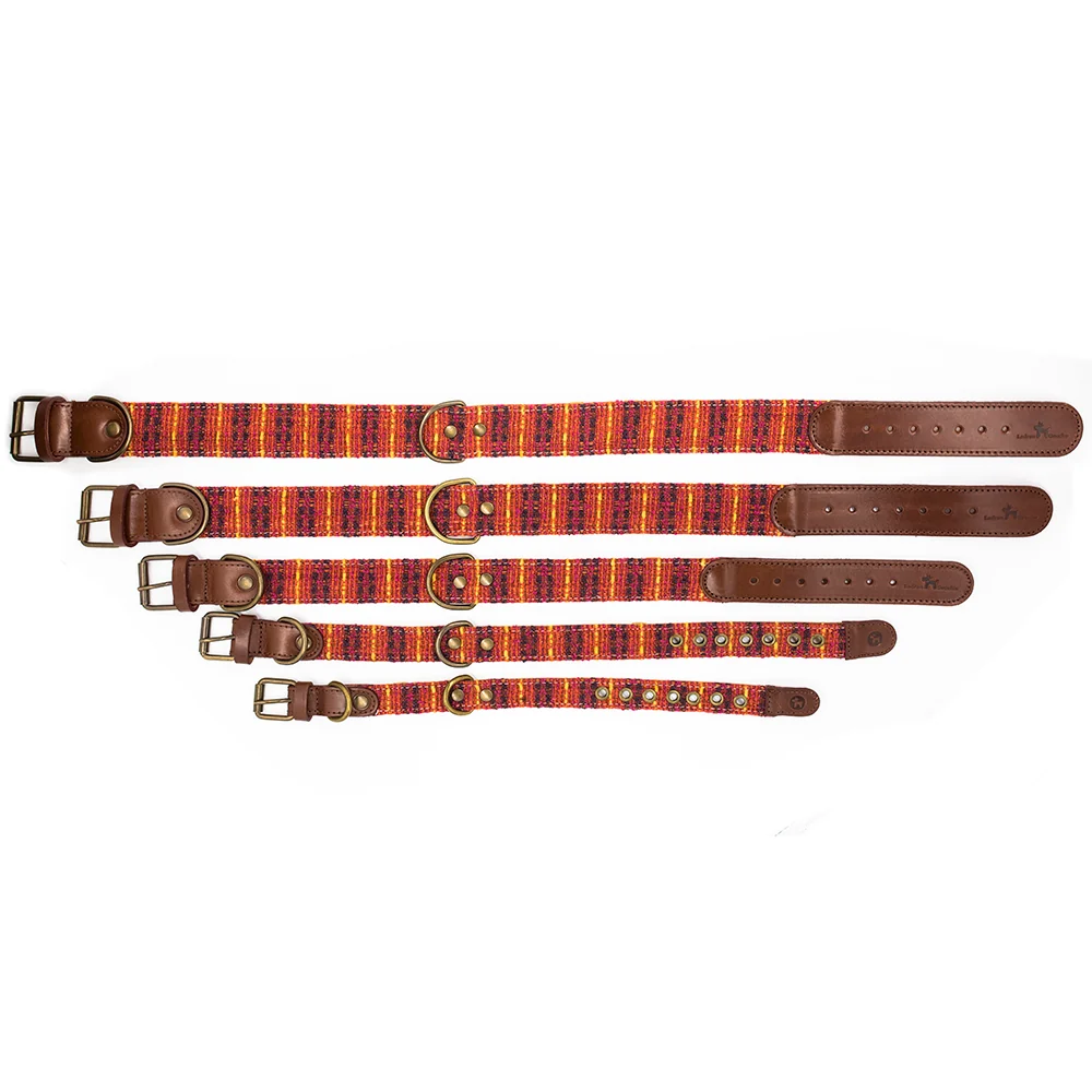 Collar para perros Luca - Imagen 5
