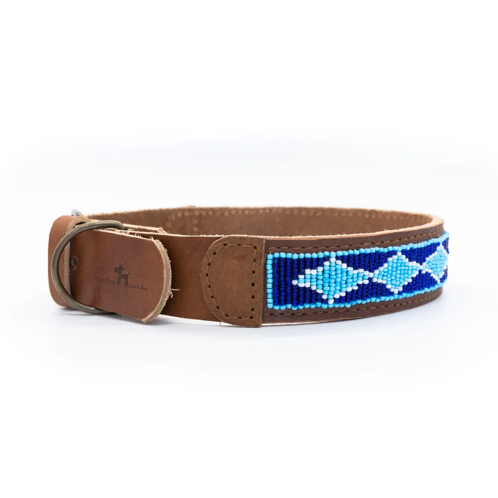 Collar para perros Madagascar - Imagen 5