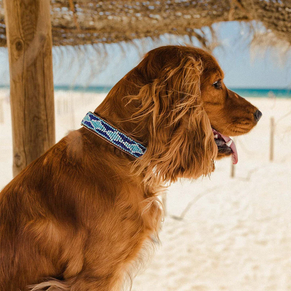 Collar para perros Madagascar - Imagen 3